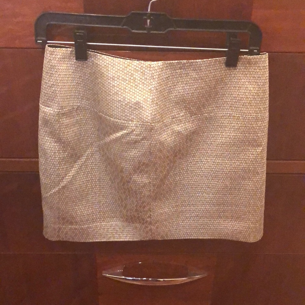 Metallic Mini Skirt from Express